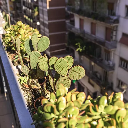 Appartamento Centralflats 195 Private