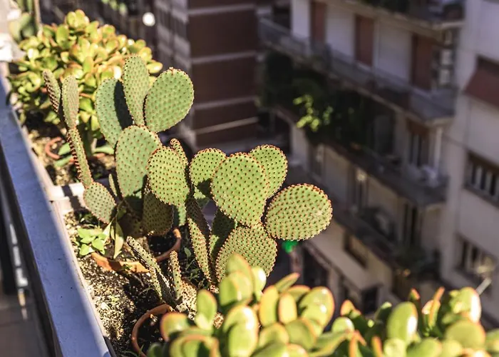 Apartament Centralflats 195 Private